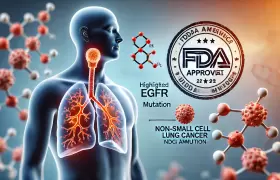EGFR mutasyonuna sahip küçük hücreli olmayan akciğer kanseri (KHDAK) hastalarında için onaylandı.